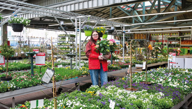 Frühling bei Hagebaumarkt